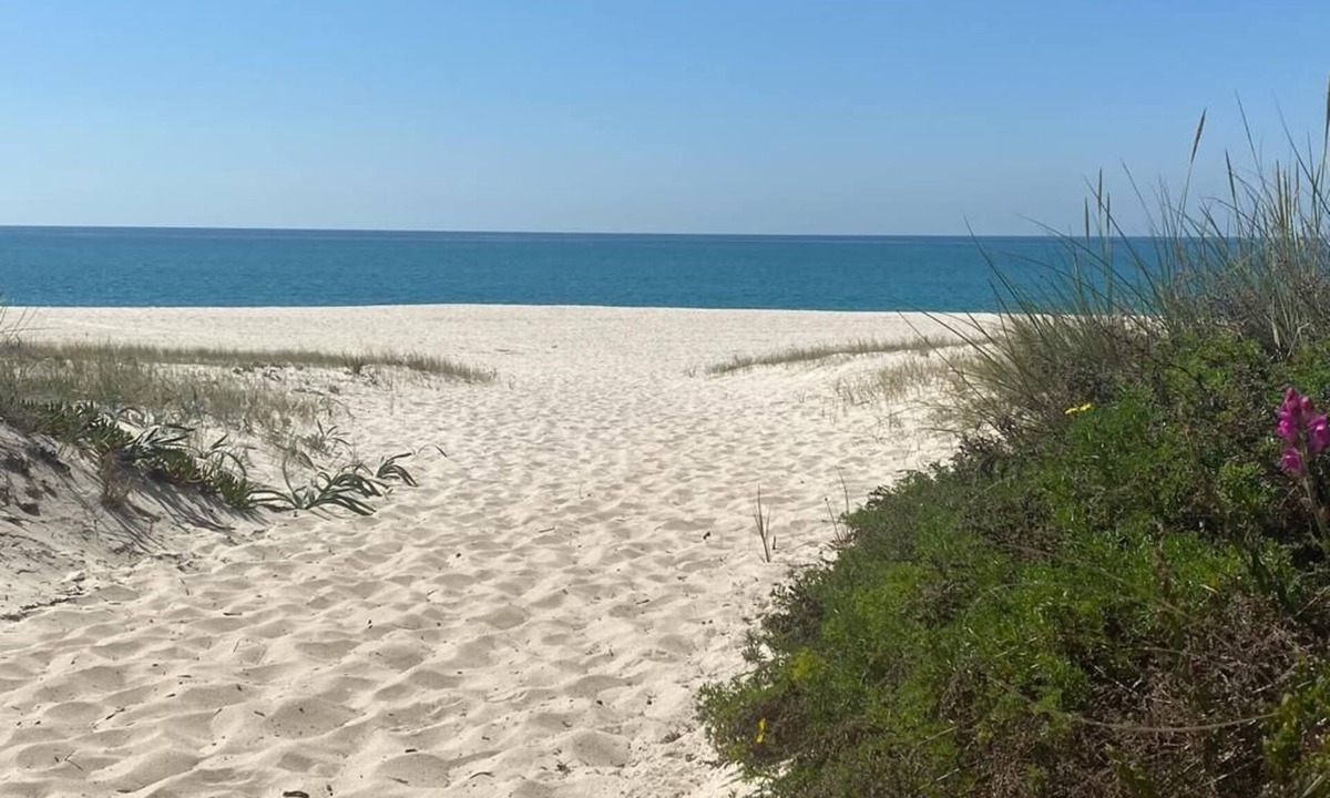 Comporta Condo | 2-bedroom apartment with a private garden and terrace, in a condominium with a pool