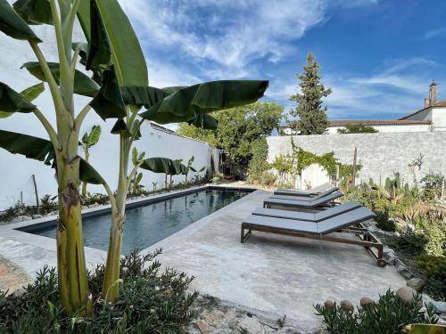 Vidigueira Apartment | 60 m² Apartment ∙ 2 bedrooms ∙ 4 guests