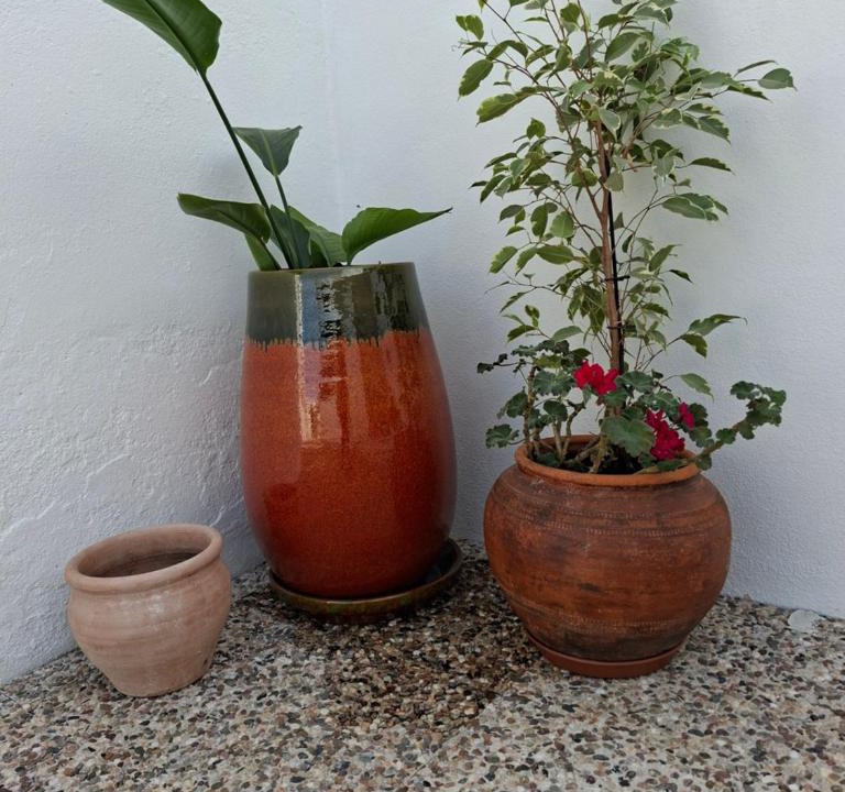 Quatrim do Sul House | A Casa da avó Custodinha