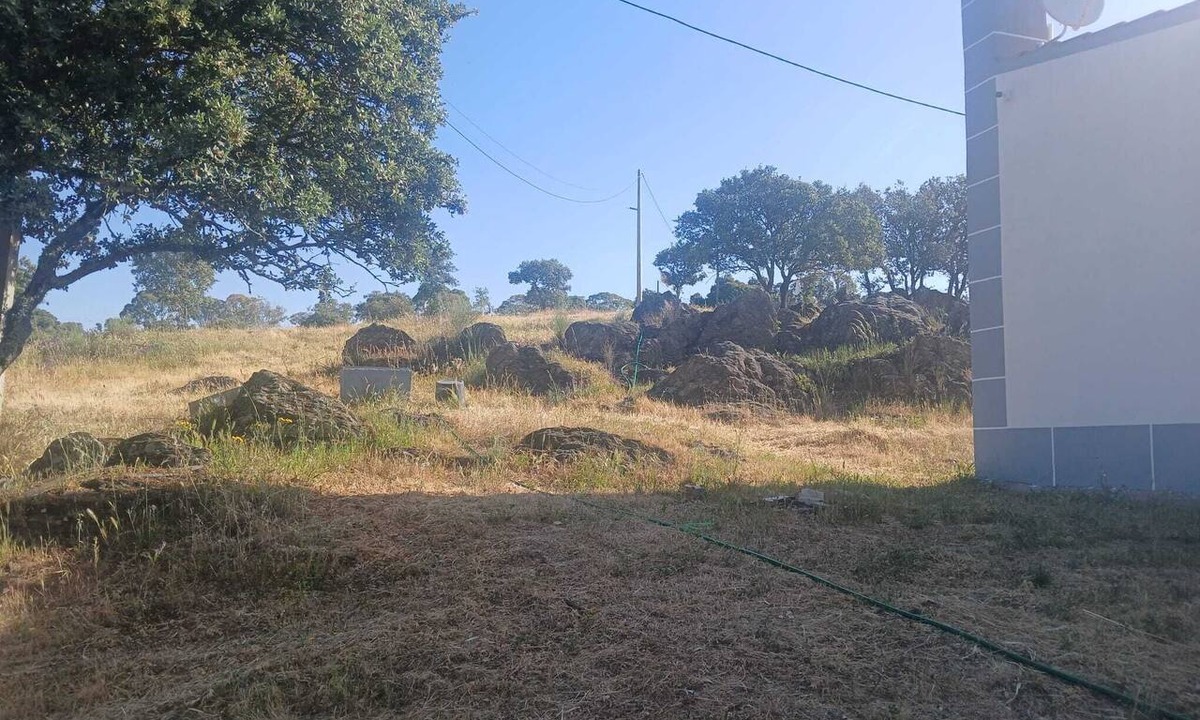Castelo Branco Cottage | A farmhouse located five minutes from the Zebreira municipal swimming pools