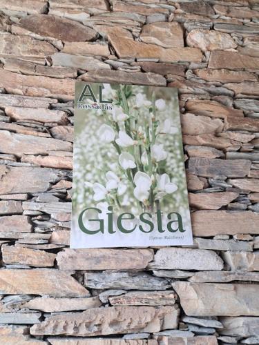 Benfeita House | AL Rossadas Giesta
