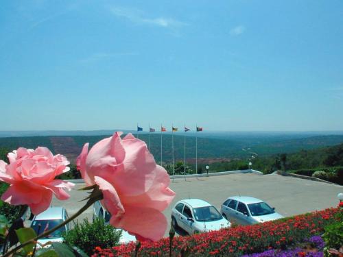 Alte Hotel | Alte Hotel