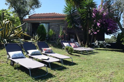 Baiao House | AS TAPADINHAS-Douro