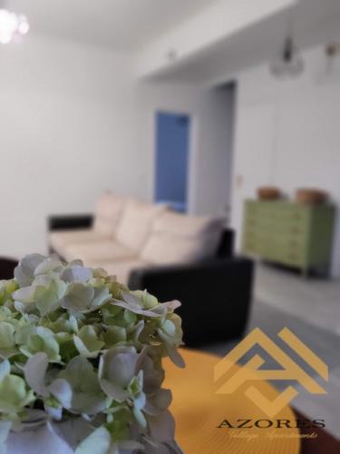 Praia da Vitoria Apartment | Azores village apartments