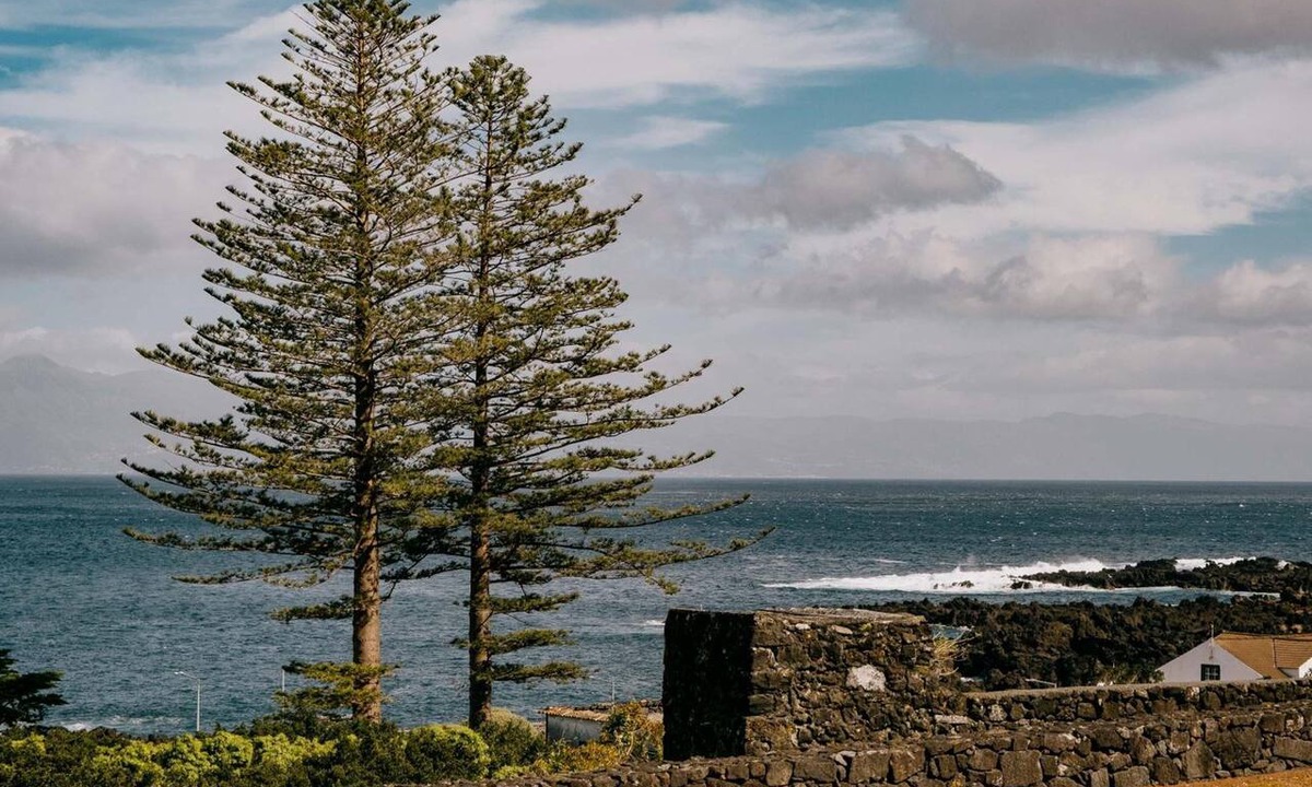 Cais do Pico Hostel | Azores Youth Hostels - Pico