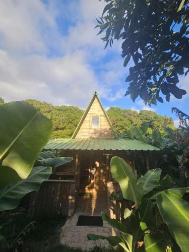 Angra do Heroismo Other | Banana Eco Camp