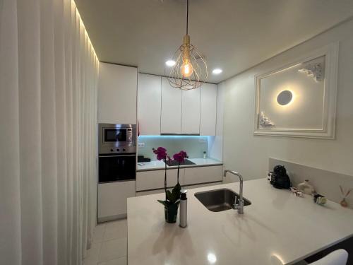 Paredes de Coura Apartment | Boavista Apartments
