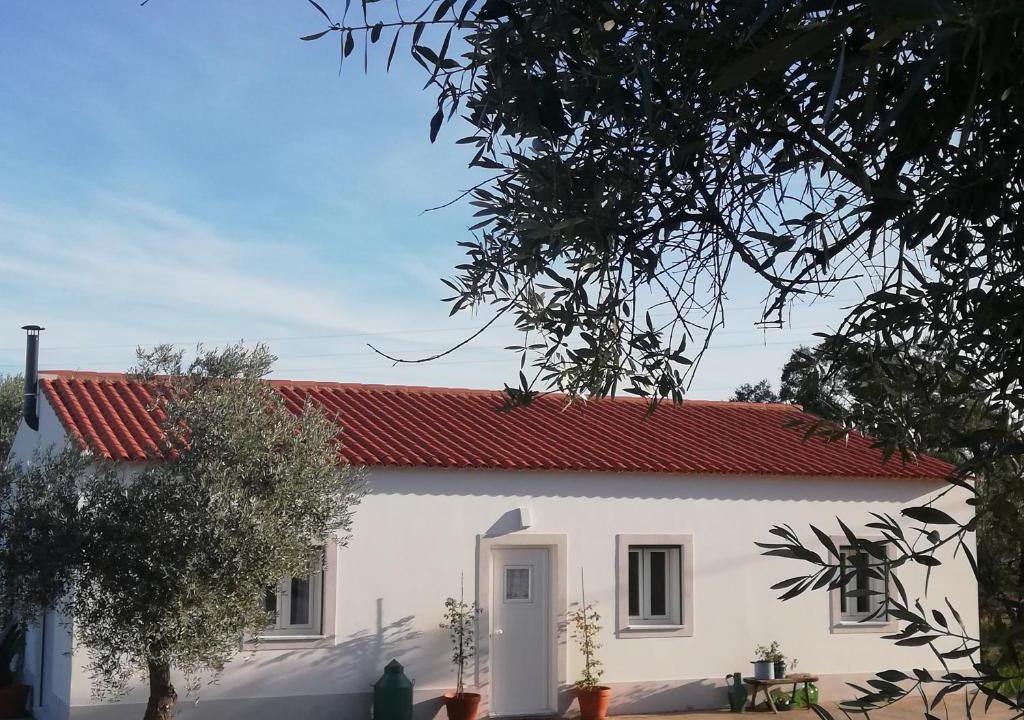 Serpa House | Burrico D`Orada - Rural Stays & Wine Country Tours
