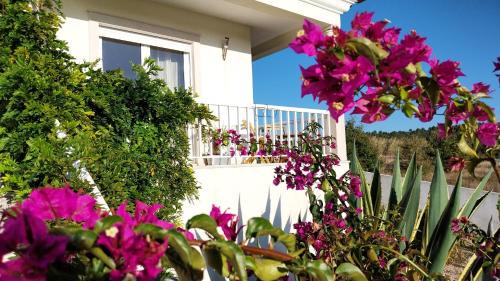 Mouraria House | Casa da Alegria Boutique Guest Suite
