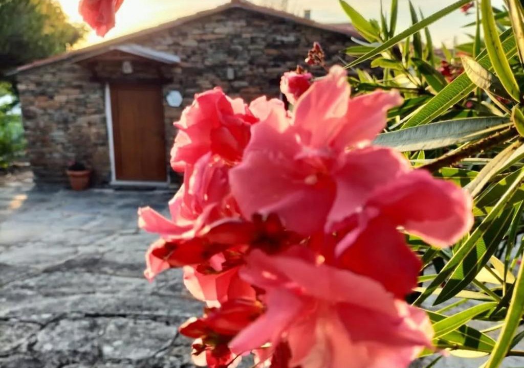Pinheiro de Coja House | Casa da Eira
