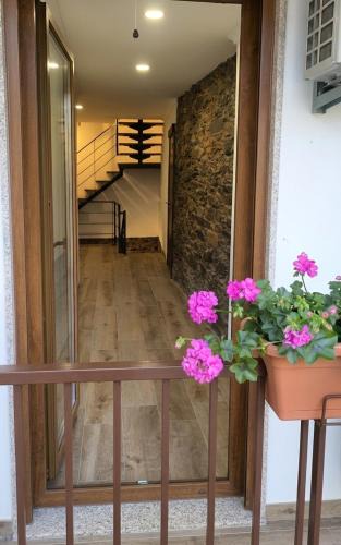 Braganca House | Casa das andorinhas