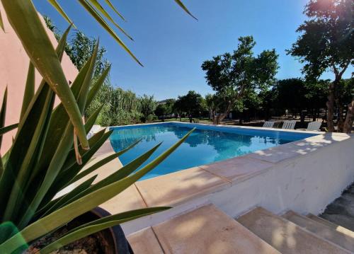 Elvas House | Casa das Hortas