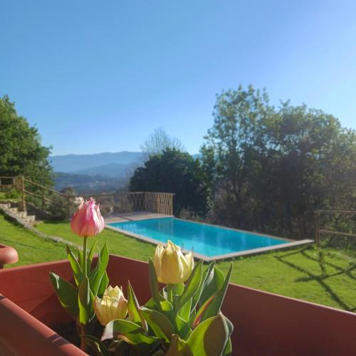 Lavradas House | Casa de Suelas