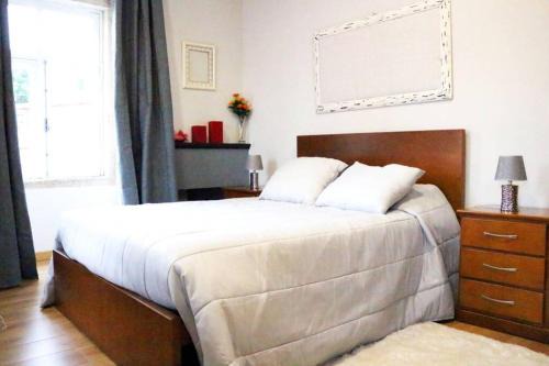 Peso da Regua Apartment | Casa do Adro- Douro