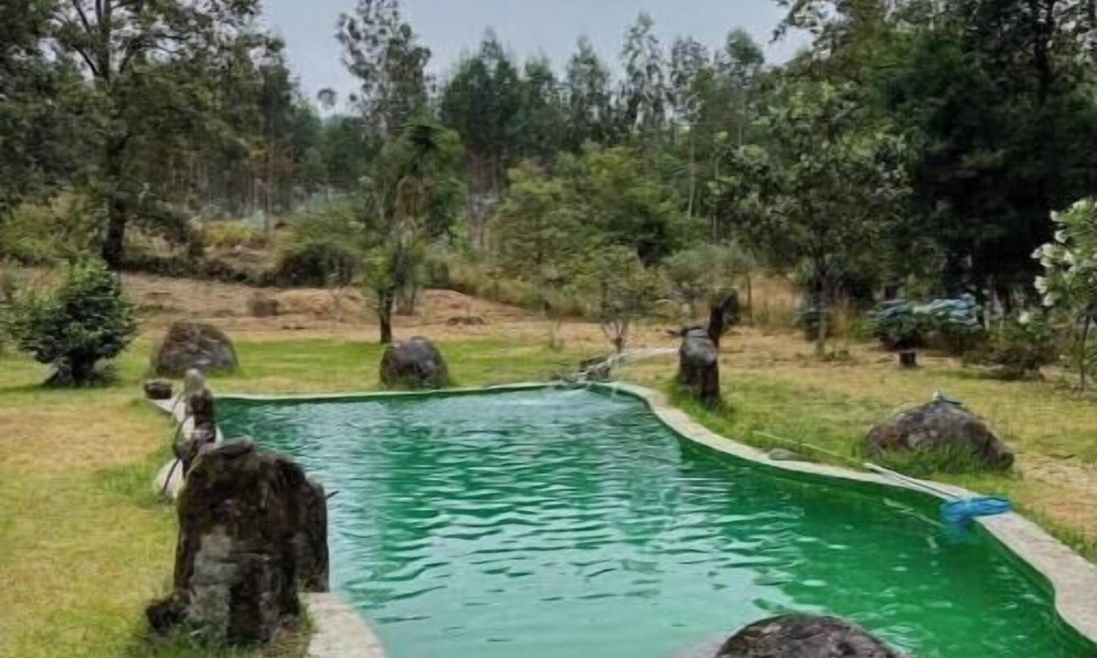 Guimaraes House | Casa do Arte - Peaceful Retreat with Pool