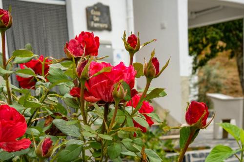 Gois House | Casa do Ferreiro