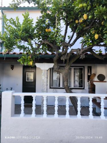 Golega House | Casa do Limoeiro - Quartos
