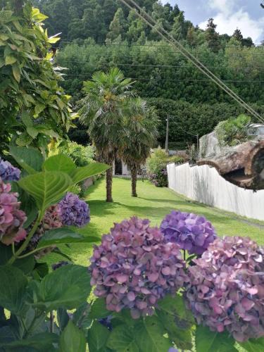 Furnas Villa | Casa do Sossego Refúgio com Jardim Privado em Furnas