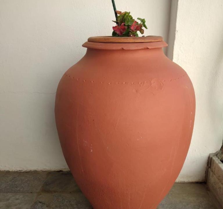 Vidigueira House | Casa dos Avós