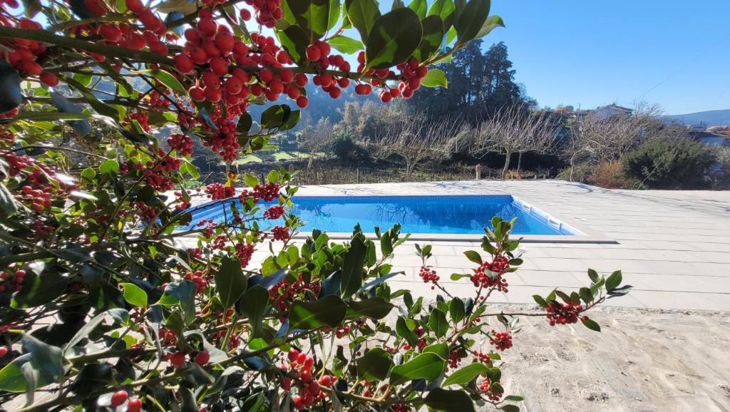 Sobrado House | Casa Dos Strecht's