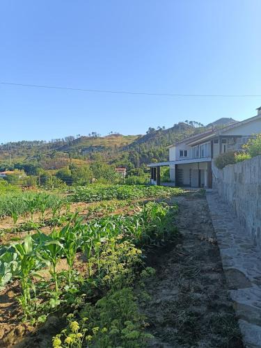 Marco de Canaveses House | Casa dos Valentes