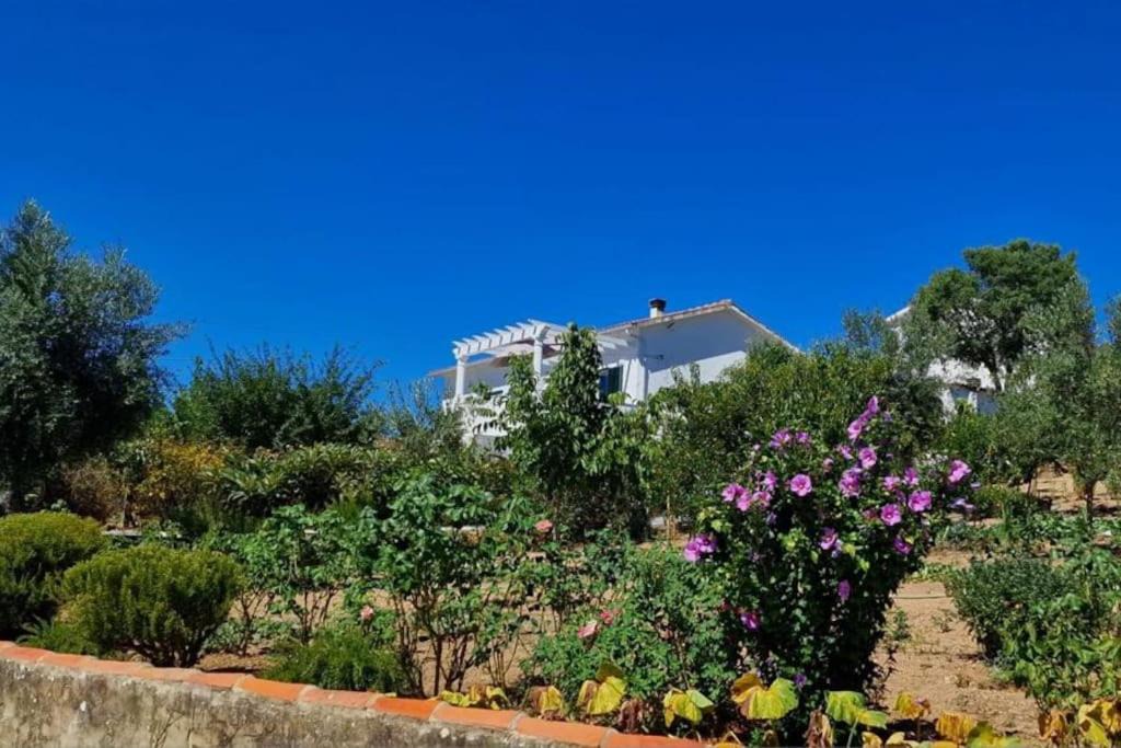 Vila de Rei House | Casa Grande Abrunheiro Grande