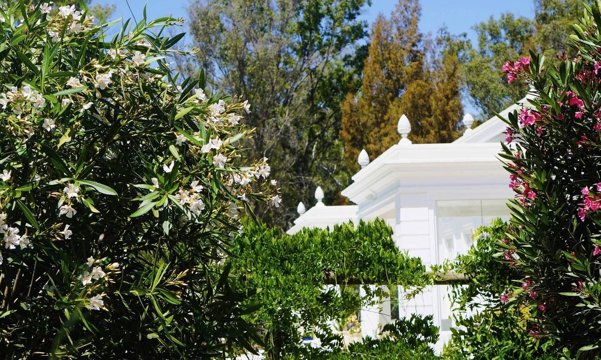 Penina Villa | Casa Rã – Architect Edition – Private Luxury Estate | Penina Golf