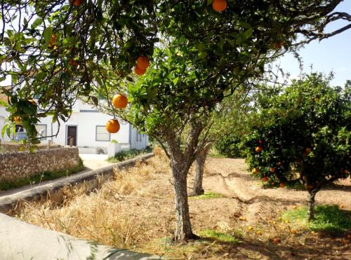 Sargacal House | Casas do Pomar