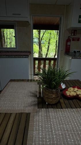 Castro Daire Ski Chalet | Casinha das bonecas