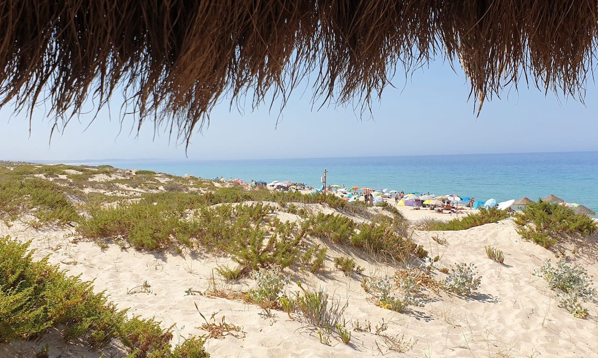 Troia House | Comporta House | A Peaceful Retreat Near Comporta Beach