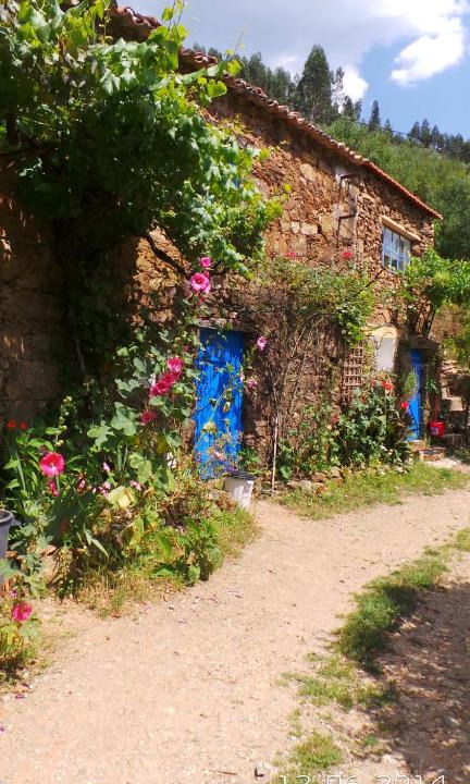 Figueiro dos Vinhos House | Cottage Vivenda Festina Lente
