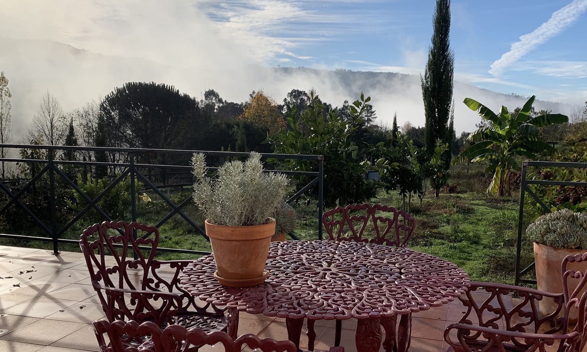 Varzea da Ovelha e Aliviada Other | Country house, Amarante
