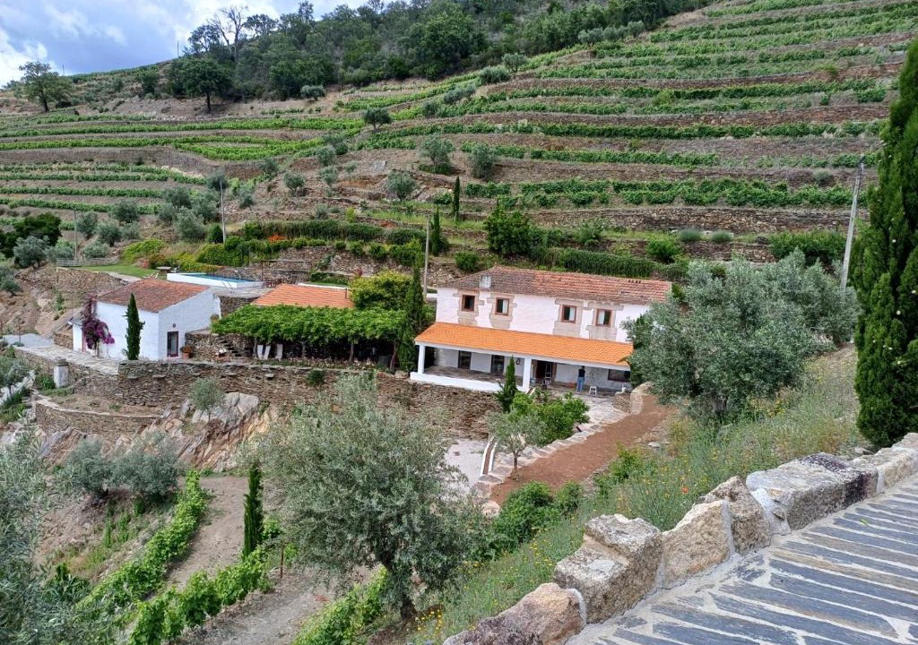 Cotas House | Country house Quinta da Salgueira
