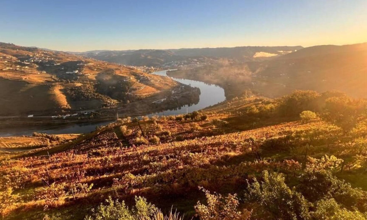 Samodaes House | Cozy House with Douro View