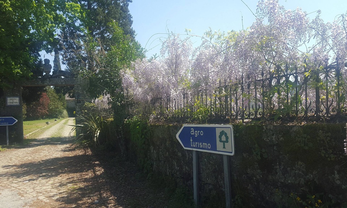 Sao Pedro do Sul Bed & Breakfast | Fabulouse Quinta da Comenda - Double Room
