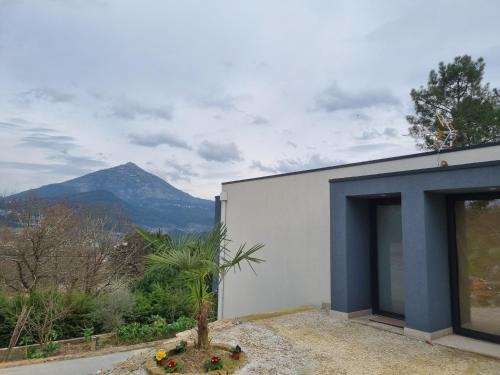 Molares House | Felicidade