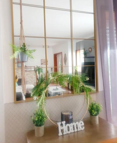 Belinho House | Grace House