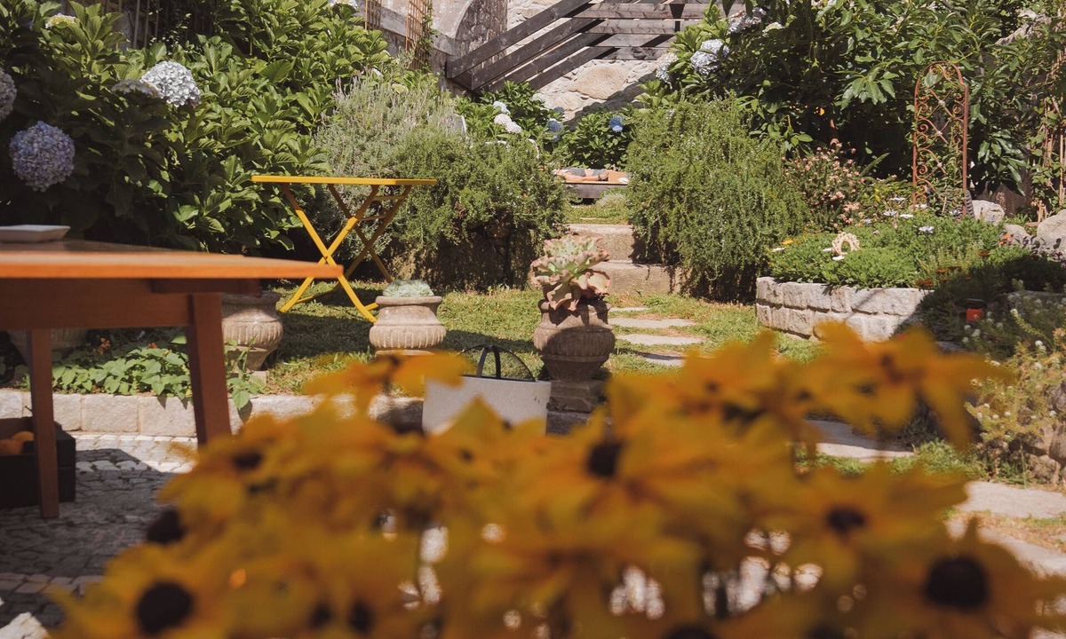 Bonfim House | Hidden Gem near city center- garden kitchen, sauna