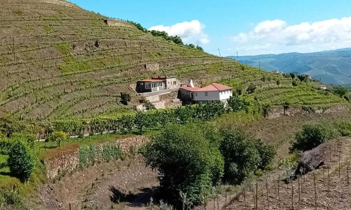 Lamego Villa | Homerez - Villa in Lamego