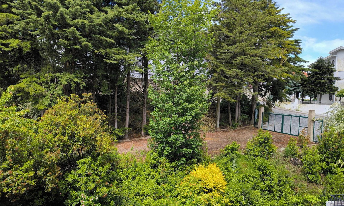 Celorico da Beira Hotel | Hotel Mira Serra