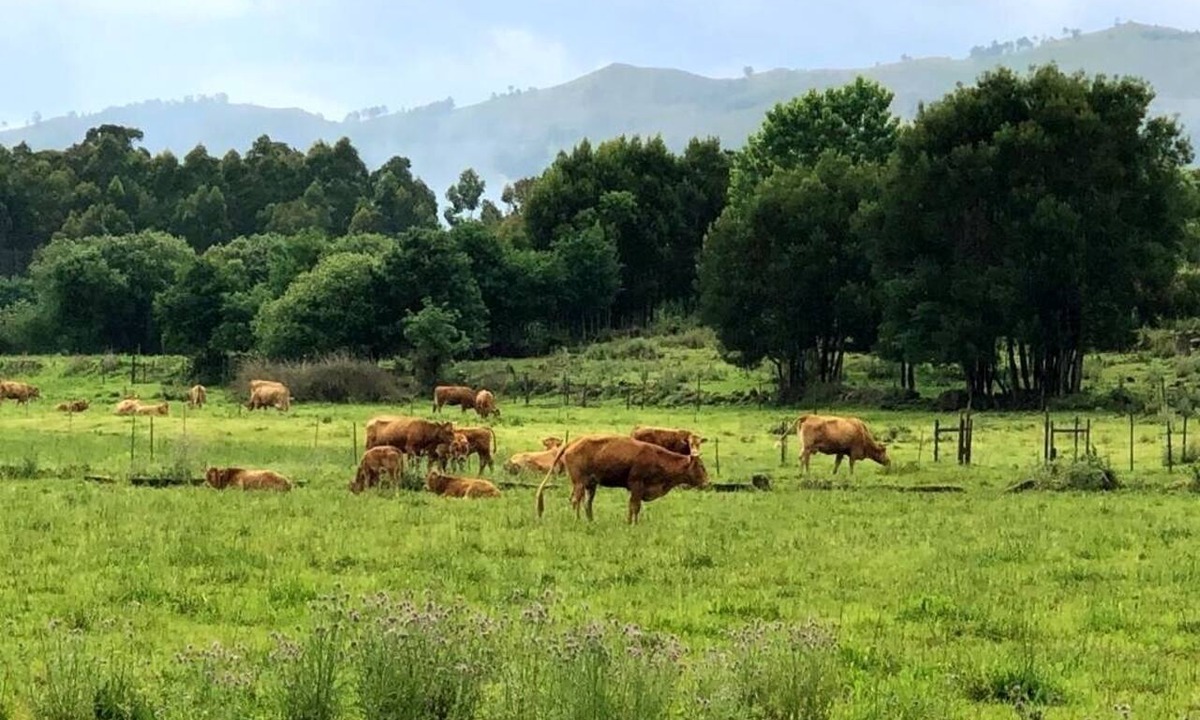 Vitorino das Donas Hotel | Hotel Rural Solar das Arcadas