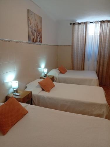 Beja Hostel | Jardim