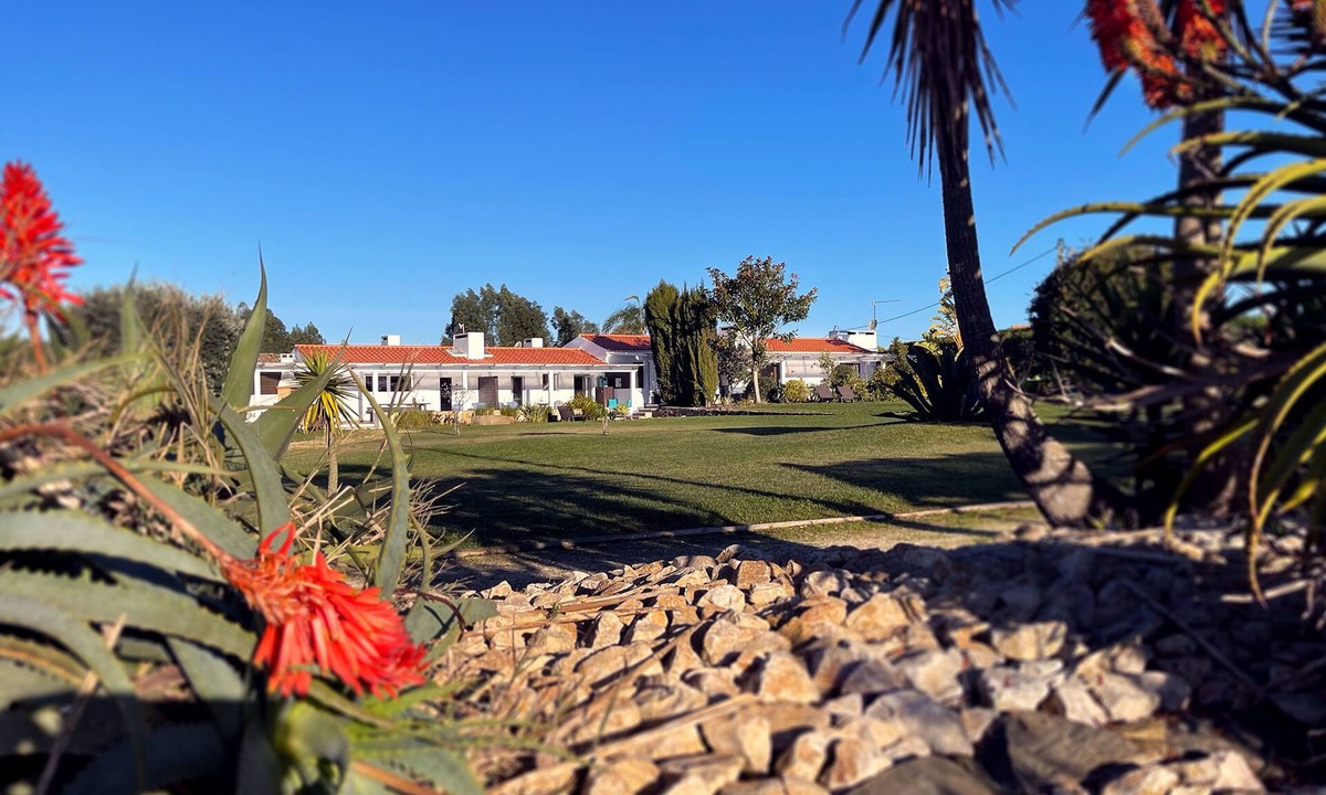 Sao Teotonio House | Large Stylish House 5 minutes from Zambujeira do Mar - House 1