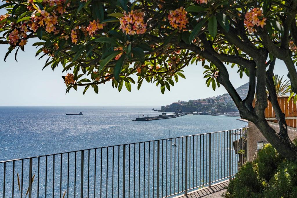 Santa Maria Maior House | Lazareto Mar by an island apart