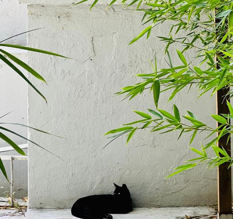 Santo Antonio Apartment | Lisbon Guests Apartments