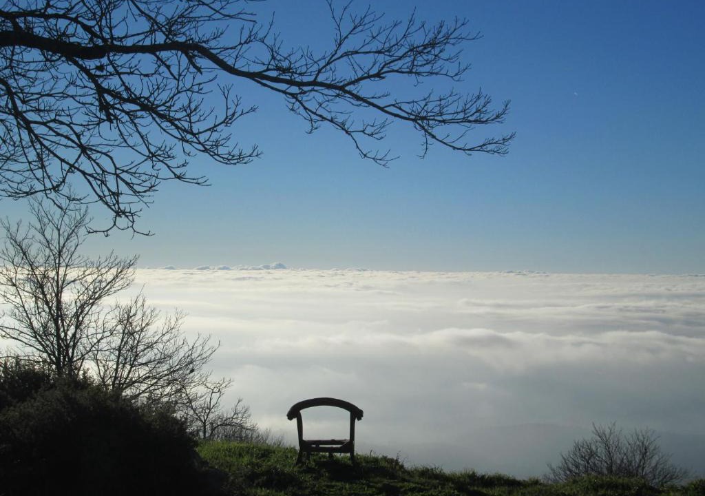 Monchique Bed & Breakfast | Montalma