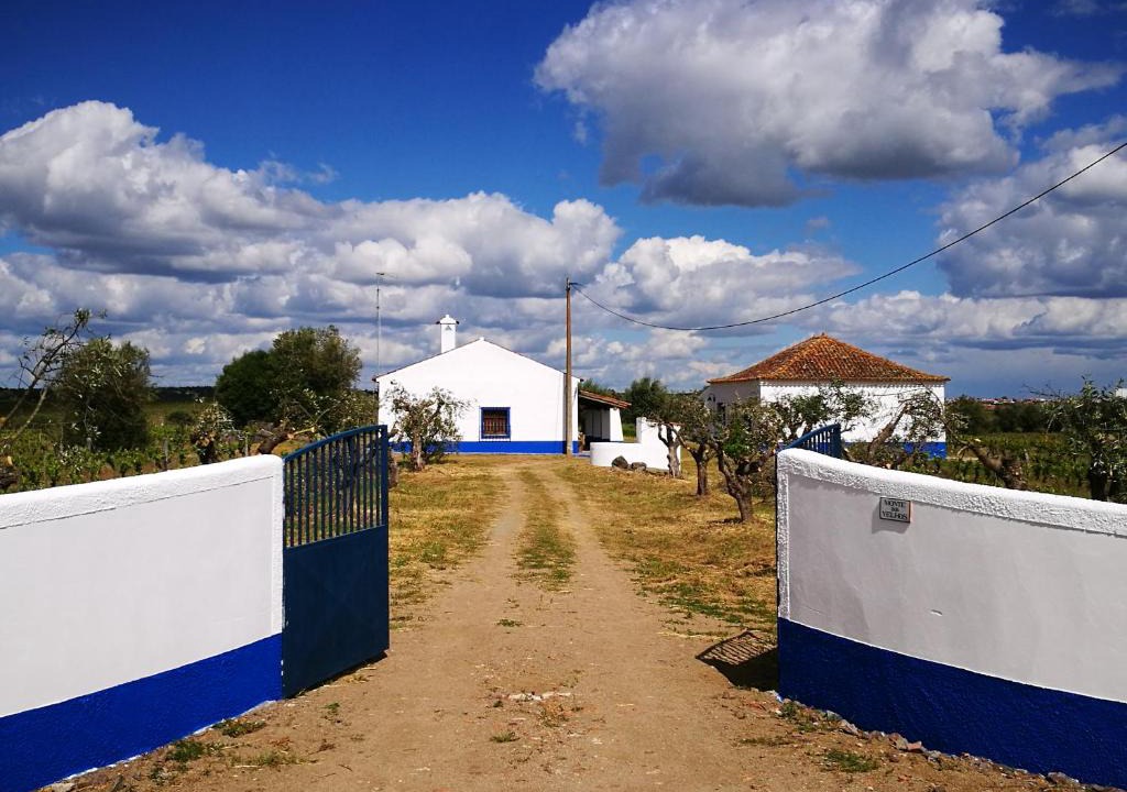 Reguengos de Monsaraz House | Monte dos Velhos