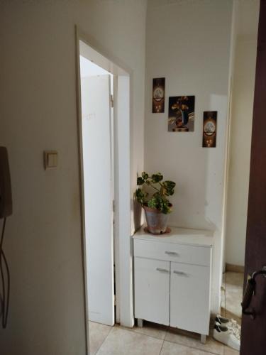 Palhais House | Montijo sharing apartment and personal room available overnight stay