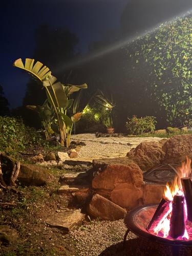 Alcobaca Other | Nativo Natureza Pink Wood Cabin