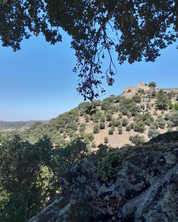 Portalegre House | Olive -Casa da Boavista